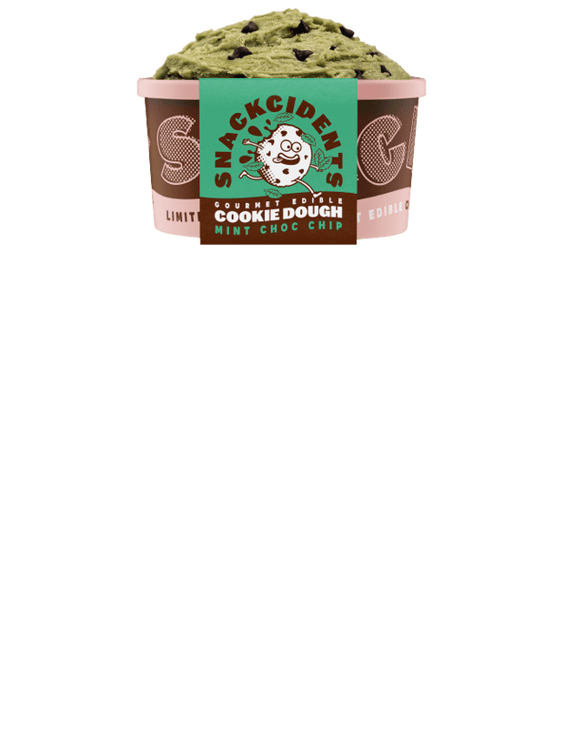 Mint Choc Chip (Vegan)